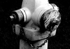 Fire Hydrant