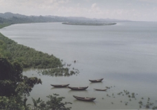 River boats