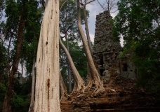 EpiphiteTemple