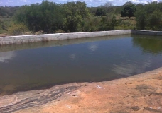 Rain water harvesting