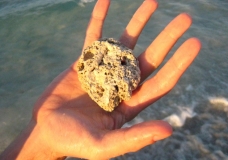 Sea rock