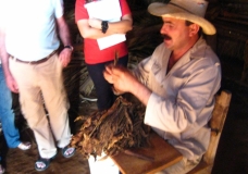 Rolling Cigars