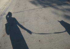 Me & My Shadow
