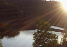 Rays