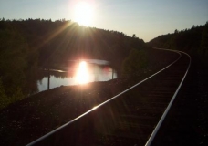 Tracks
