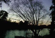 Amanecer en El Tigre