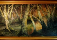 Morning forest
