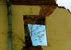 Window