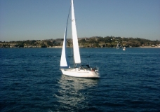 Velero Australiano