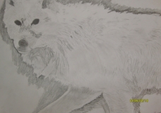 Lone Wolf