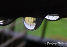 Raindrops