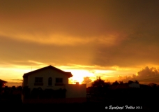 Yellow Sky