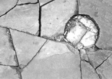 Ground Shapes