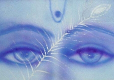krishna consciousness