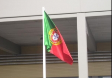 the Portugese flag