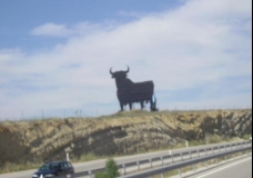 Torro/Bik