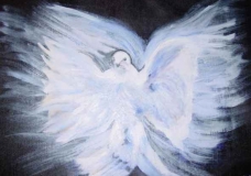 Dove, messenger of peace, love & Light