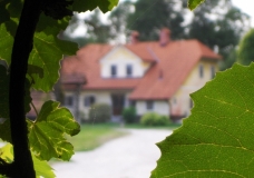 Radomlje