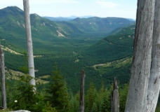 Mt St. Helens