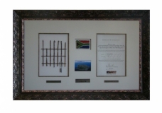 Robben Island Fence Project