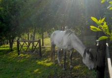 En luz