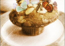 Cake for Fairy