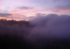 Evening in Las Tolas