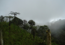In the Mountains, Las Tolas