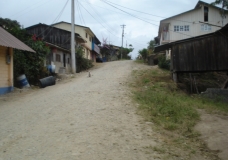 Las Tolas