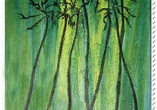 Scenary-Kerala