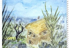 Hut