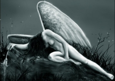 fallen angel