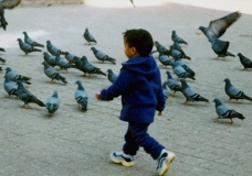 Searching for peace !