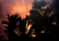 kerala,India