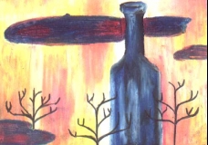 Sun Bottles