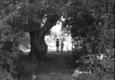 Walking Away