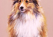 Spunky