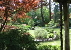 Japanese Gardens