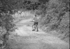 Country Roads