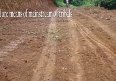 Roads