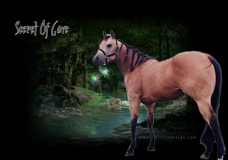 Secret Of Love