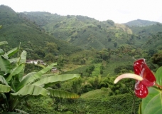 Rich Land