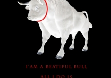 Stop Bullying