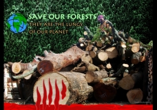 Save Our Forests