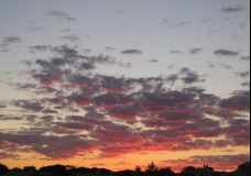 Pink sky at night