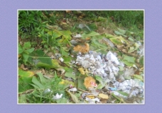 Man Made pollution