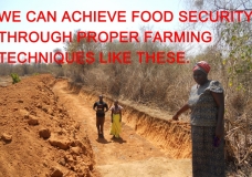 Rain water harvesting equals food security