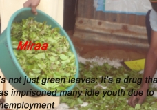 Youth Unemployment Crisis