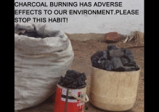 Let us stop charcoal burning