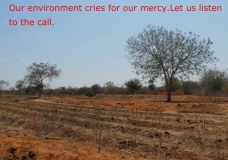 Our Environment cries for our mercy